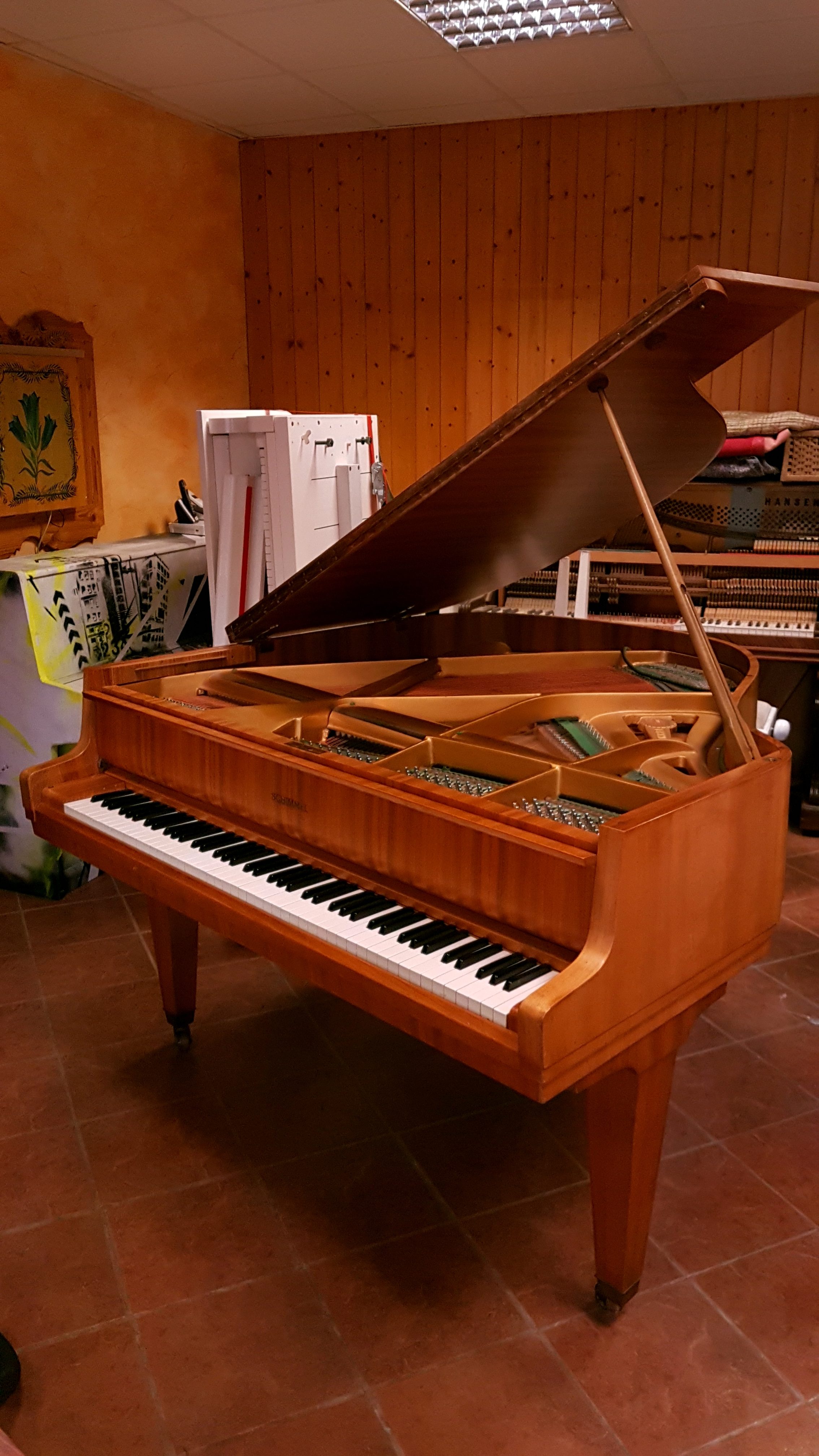 Crapaud Schimmel - Marion Pianos