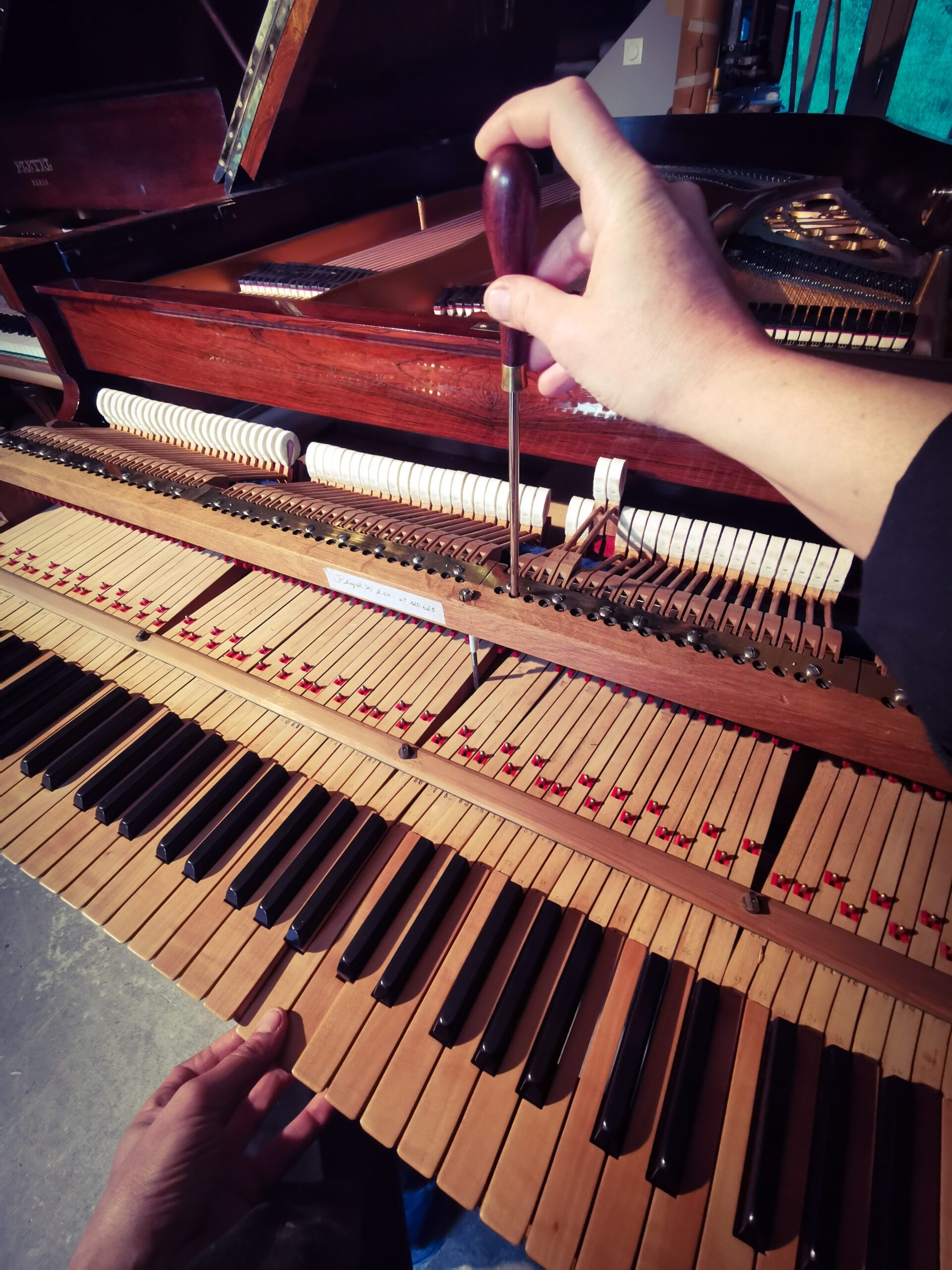 réglage de la mécanique à peignes avec clavier en poirier de piano demi queue Pleyel 2m04 de 1899 dans atelier de restauration de pianos de Marion Lainé en Savoie