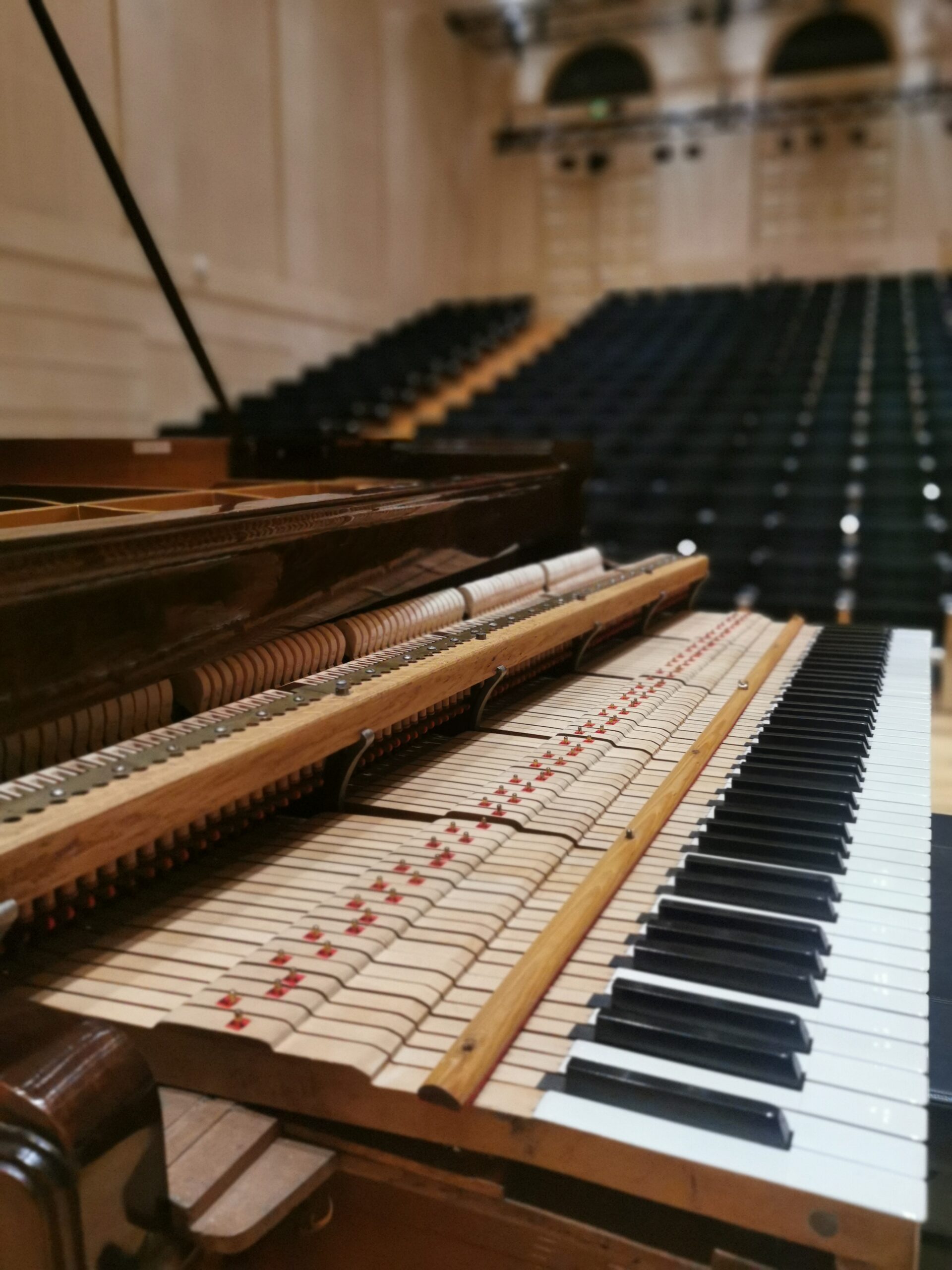 piano Pleyel de concert en palissandre de rio mécanique et clavier